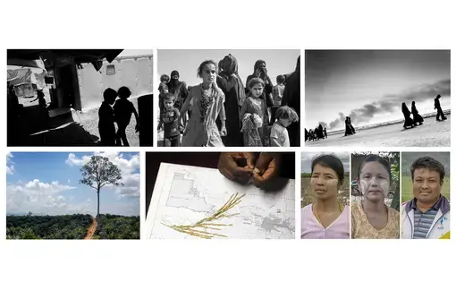 Top three images by Paolo Pellegrin for "Fractured Lands" NYT Magazine project. Bottom three images from "The Great Land Rush" FT project. Collage by Lauren Shepherd. United States, 2017.