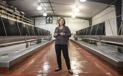 Jennifer Jenkins manages Crystal Seas, an oyster dealer in Pass Christian. Friday, Oct. 25, 2019. Image by Eric J. Shelton/Mississippi Today. United States, 2019.