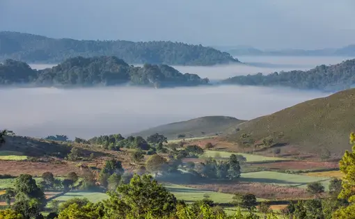 A valley in Shan state, Myanmar, an epicenter of the country's meth trade. Image by Franck Camhi / Shutterstock. Myanmar, undated.