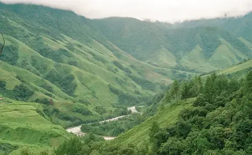 The Dibang Valley, a biodiversity hot spot in northeastern India, is threatened by a proposed hydropower dam. Image courtesy Goldentakin / Flickr.