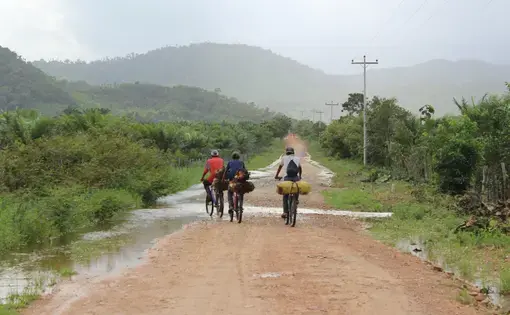 A dirt road near Dinant Corporation's El Tumbador plantation. Image by ICIJ. Honduras, 2014.