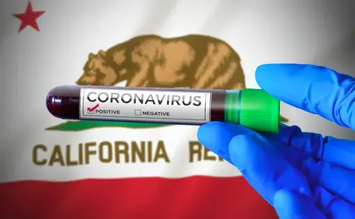 California has closed 11 public health labs over the past two decades, impeding the implementation of "targeted testing." Image by Kim Kuperkova / Creative Commons. United States, 2020.