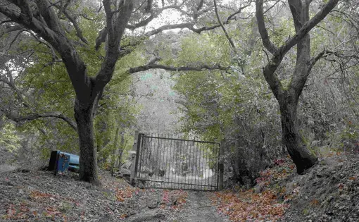 This parcel of land in Sunol, California, was seized by unratified treaty on May 28, 1851 from Indigenous caretakers for the benefit of Auburn University in Alabama. Reporting from High Country News found the US paid no compensation for the land that formed Auburn University’s new endowment. Image by Kalen Goodluck/ High Country News. United States, undated.