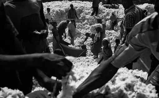 Local farmers load the cotton onto the Sofitex containers at the collection center, near Boro. Image by Jost Franko. Burkina Faso, 2015.
