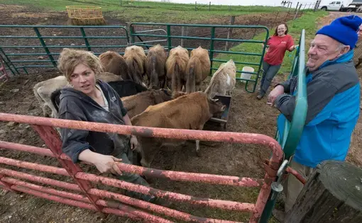Emily Harris, from left, and her wife, Brandi Harris, talk with cattle buyer Ed Flood while their young livestock eats one last time before being loaded onto a trailer for transport to farms in Indiana and New York. Image by Mark Hoffman. United States, 2019.
