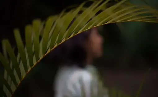 Image by Almudena Toral. El Salvador, 2018.