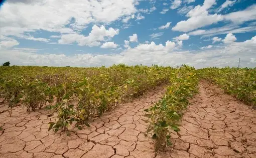 Drought is just one of challenge food growers will have to confront in a changing climate. Image courtesy of U.S. Department of Agriculture on Flickr. United States, 2013.