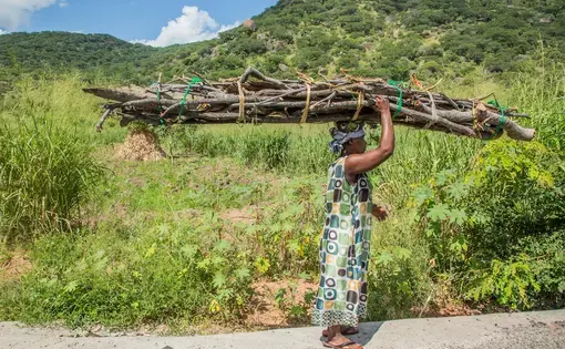 Women in Malawi spend up to 6 hours a day collecting firewood for cooking and heating. Image by Nathalie Bertrams. Malawi, 2017.