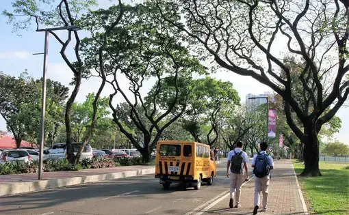 Ateneo’s solution: Build and maintain a network of wide sidewalks. Take care of old trees so that their canopy can shield the people who walk from the elements. Image by Dinna Louise C. Dayao. Philippines, 2017.