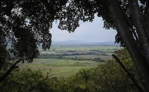 Colombia has greater biodiversity than any country except Brazil.&nbsp;Image by Greg Kendall-Ball/Nature﻿. Colombia, 2018.&nbsp;