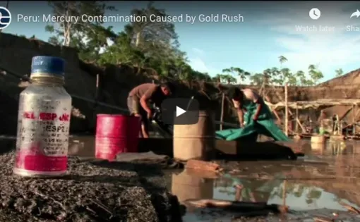 Screenshot from Steve Sapienza reporting project, "Peru's Gold Rush: Wealth and Woes," a video segment of which aired on PBS NewsHour in December 2011&nbsp;when he was a special correspondent for the&nbsp;outlet with Pulitzer Center support. Image by Steve Sapienza. Peru, 2011.