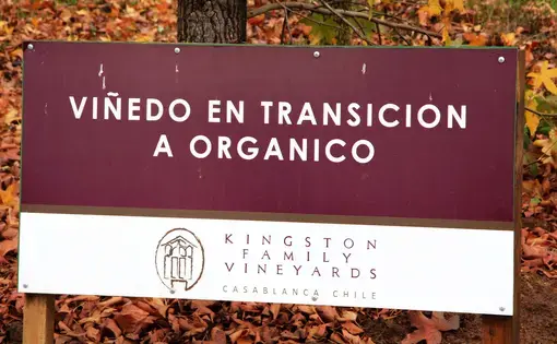 Sign at Kingston Family Vineyards promoting the transition to a fully organic vineyard. Image by Taylor Lord. Chile, 2017.