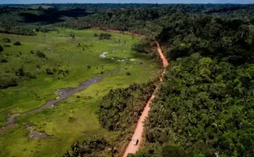 A truck motors along the Trans-Amazonian Highway, straddling protected Indigenous land at right and unprotected land that has been clear-cut at left, in Pará State, Brazil. Image by Spenser Heaps. Brazil, 2019.