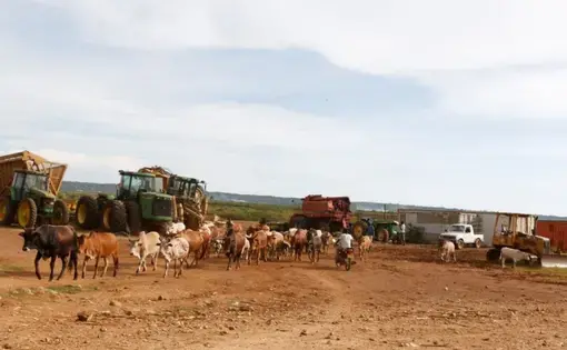 Tractors and other heavy agricultural equipment that are lying idle in the yard of Dominion Farms Limited. Image by Geoffrey Kamadi. Keyna, 2019.
