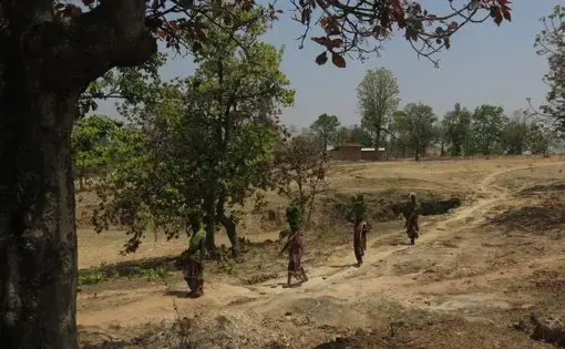 Odisha, India. June 2019. Image by Chitrangada Choudhury.