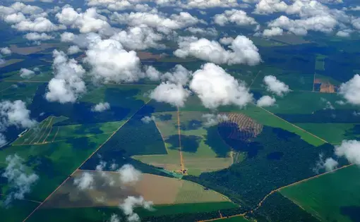 Vista del municipio de Sinop desde las alturas, donde se aprecian las áreas de selva junto a los campos de cultivo industriales.