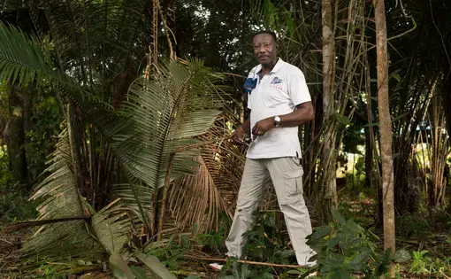 Frans Weewee stands in the jungle behind his village in Brownsweg. His backyard is filled with the fruits that the Saamaka people grew up gathering and farming, banana, mango, cassava, sugarcane, and fruits he described as mope, maripa, tajerblad and awara. Image by Stephanie Strasburg. Suriname, 2017.