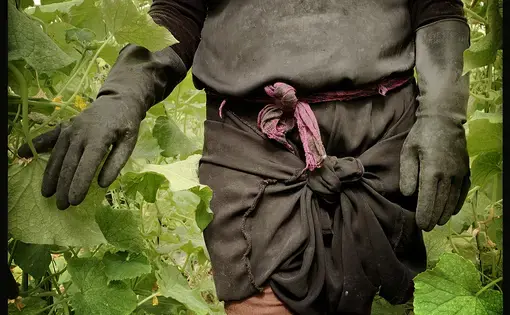 Zeinab is an agricultural worker in Jordan. She has no protection from corrupt practices of her employers. Image by Lynn Johnson. Jordan, 2019.