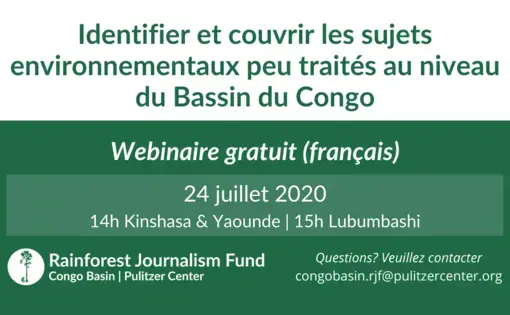 Identifier et couvrir les sujets environnementaux peu traités au niveau du Bassin du Congo (Webinaire).