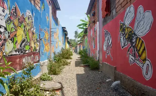 Murals line the area behind 52 homes in Chathanad Colony in Alleppey, Kerala, India. A canal polluted with the community’s waste used to run here, and is now clean, piped, and covered. Image by Katelyn Weisbrod. India, 2019.