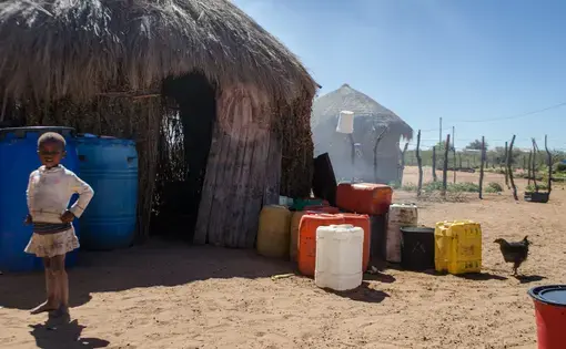 Rapid development in Botswana has led to rapid desertification. Image by Linda Qiu. Botswana, 2013. Botswana's Diamond-Cattle-Water Paradox