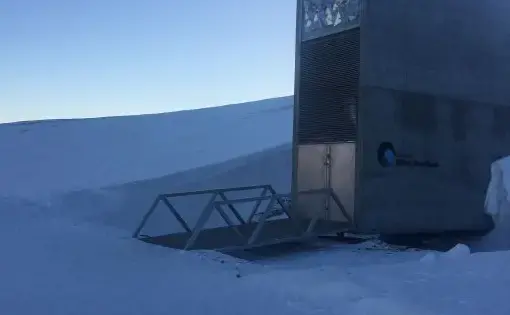 The Global Seed Vault located on Norway's Svalbard Archipelago holds over 900,000 samples of seeds from around the world as part of efforts to preserve global crop biodiversity. Image by Jennifer Duggan. Norway, 2017.