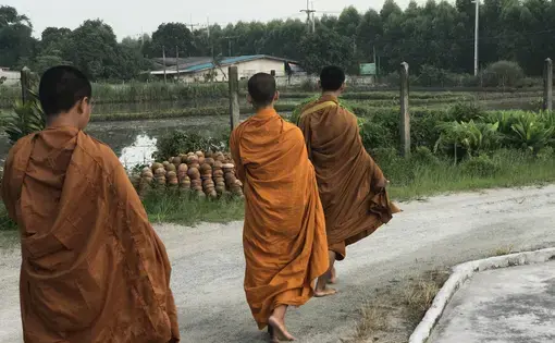 Three young monks collect morning alms in the Chonburi Province of Thailand. Image by Kiley Price. Thailand, 2018.