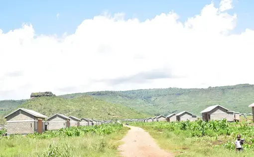 Bunambutye resettlement camp for Mt. Elgon landslides surivors. Image by by Javier Silas Omagor. Uganda, undated.