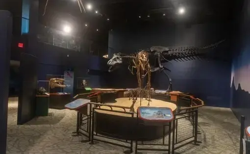 Burpee Museum of Natural History reopens to the public on Friday. Several coronavirus-related restrictions will be in place. Image by Albert Riley Jr./Rockford Register Star. United States, 2020.