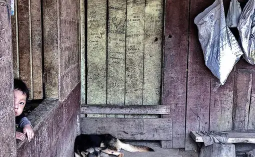 A young boy peeks from the window of a bache located in a coffee plantation near the Rio Sereno border crossing. Image by Samira Tella. Costa Rica, 2018. A young boy peeks from the window of a bache located in a coffee plantation near the Rio Sereno border crossing. Image by Samira Tella. Costa Rica, 2018.