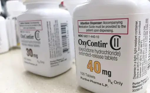 OxyContin bottles sit on a counter in Ogden, Utah. Image by PureRadiancePhoto / Shutterstock.com. United States, 2018.