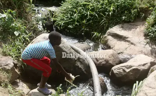 A child dumps waste in river Mpanga in Karangura in Kabarole District, Uganda. Image by Felix Basiime. Uganda, undated.