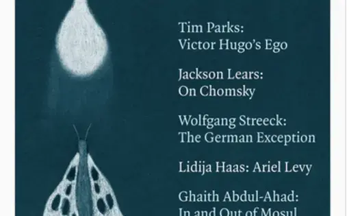 Image from London Review of Books. May 4 issue, 2017.