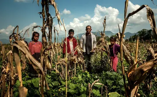 ALTA VERAPAZ, GUATEMALA. Carlos Tiul, an Indigenous farmer whose maize crop has failed, with his children. Image by Meridith Kohut. Guatemala, 2020.