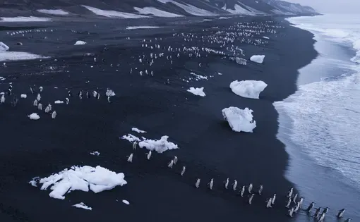 Image by&nbsp;George Steinmetz. Antarctica, 2018.