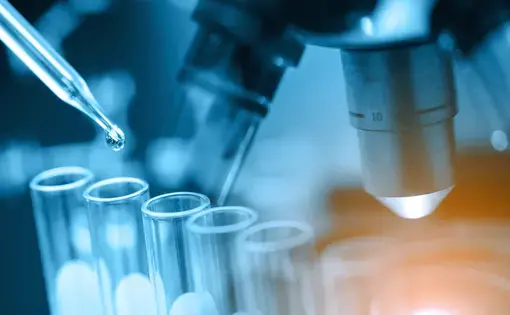 Microscope with lab glassware, science laboratory research, and development concept. Image by totojang1977/Shutterstock. Undated.