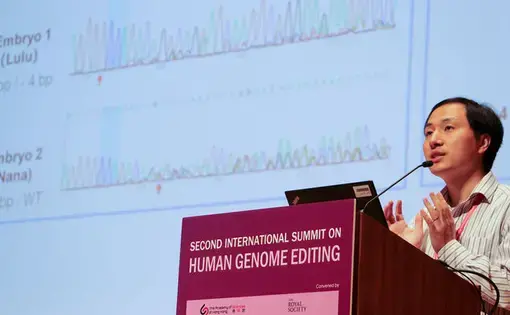 He Jiankui presented a slide at a Hong Kong, China, genome-editing summit that showed DNA sequences from the edited CCR5 genes in the twin girls. Image courtesy of National Academies/Flickr. China, 2019.