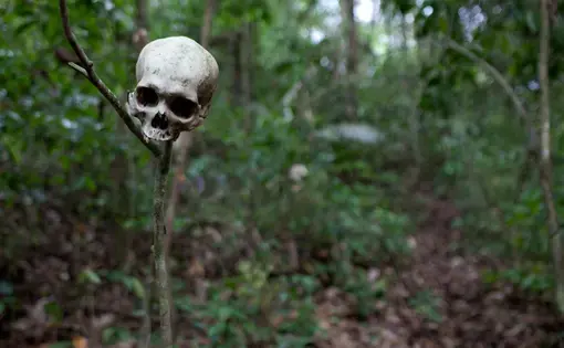 Skull on a stake