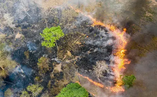Aerial view of burning land near the Phnom Tnout Phnom Pok Wildlife Sanctuary, in Songkom Thmey District, Preah Vihear Province, northern Cambodia. During the dry season between January to March, hundreds of fires continually rage across the country. Land is burnt by farmers, loggers and local people looking to either capture wildlife or clear land for agriculture. Cambodia has one of the world’s fastest rates of deforestation and it is estimated only 3 percent of primary forest is now left. Image by Sean…