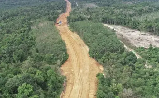 The company's new road will help make transporting coal easier. Image by Erwan Hermawan. Indonesia, 2020.