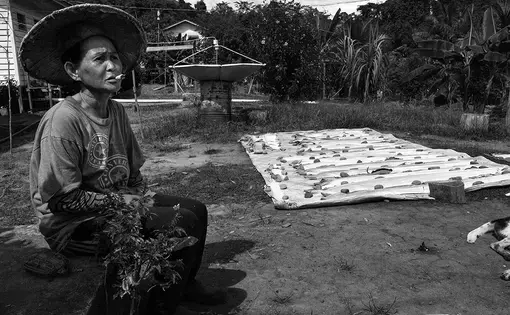 Uday in her garden, located on a tributary of the Rajang River. Uday and her husband, John, are Kayan and have moved several times since the state-sponsored Bakun Dam flooded their village. Image by Stuart Franklin/Magnum Photos. Malaysia, 2018. 