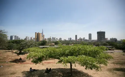 The Central Business District rises up behind a park in Nairobi. Image by Noah Fowler. Kenya, 2017.