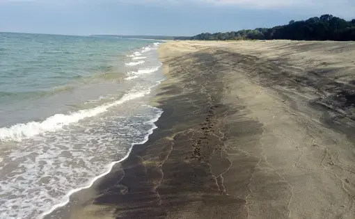 The Black Sea beach, Igneada Floodplain Forests National Park, Turkey. Image by Dimiter Kenarov. Turkey, 2017.