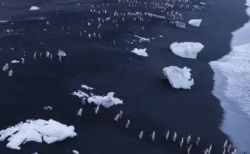 Image by George Steinmetz for The New York Times. Antartica, 2018.