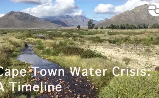 The Berg River in April 2018, normally a rushing river and a main water supply to the city of Cape Town. Image by Jacqueline Flynn. South Africa, 2018.
