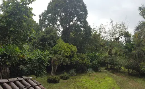 View from a "jungle house" in Puerto Quito. Image by Ayanna Dickinson. Ecuador, 2019.