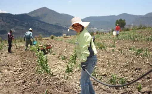 Rocio Albino Garduño waters her crops&nbsp;in San Juan Coajomulco, Mexico.&nbsp;Garduño&nbsp;is a professor of sustainable development at the Intercultural University of the State of Mexico. She uses her farm and home as a way to educate her community about more sustainable farming practices. Image by Meg Vatterott. Mexico, 2018.