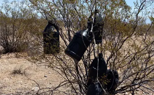 Empty water jugs left behind by migrants in the Sonoran Desert in Arizona. Image by Kevin Cooley/ The New York Times. United States, undated.
