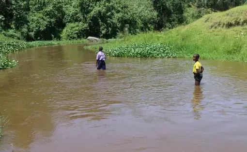 Rwizi River has been turned into a road. Residents walk through it as if it was a road. Image by Fredrick Mugira. Uganda, 2019.