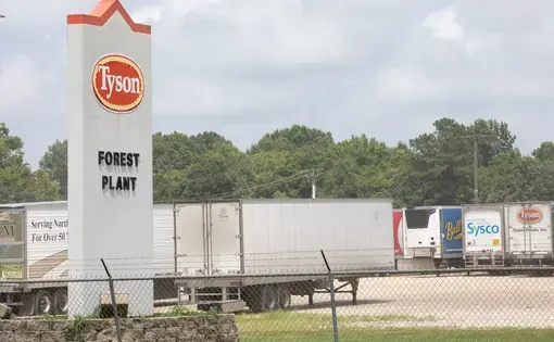 Tyson Foods’ Forest plant was among 15 poultry plants across the South granted waivers by the USDA in April that allowed them to increase processing line speeds despite histories of severe injuries, Occupational Safety and Health Administration violations or the recent COVID-19 outbreak, according to a report by the National Employment Law Project. Image by Sarah Warnock/MCIR. United States, 2020.